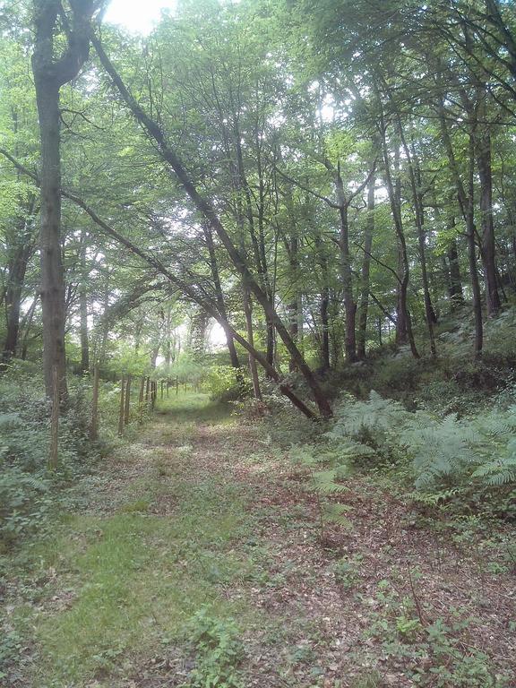 Les Gites De Castera Aire-sur-lʼAdour Eksteriør billede