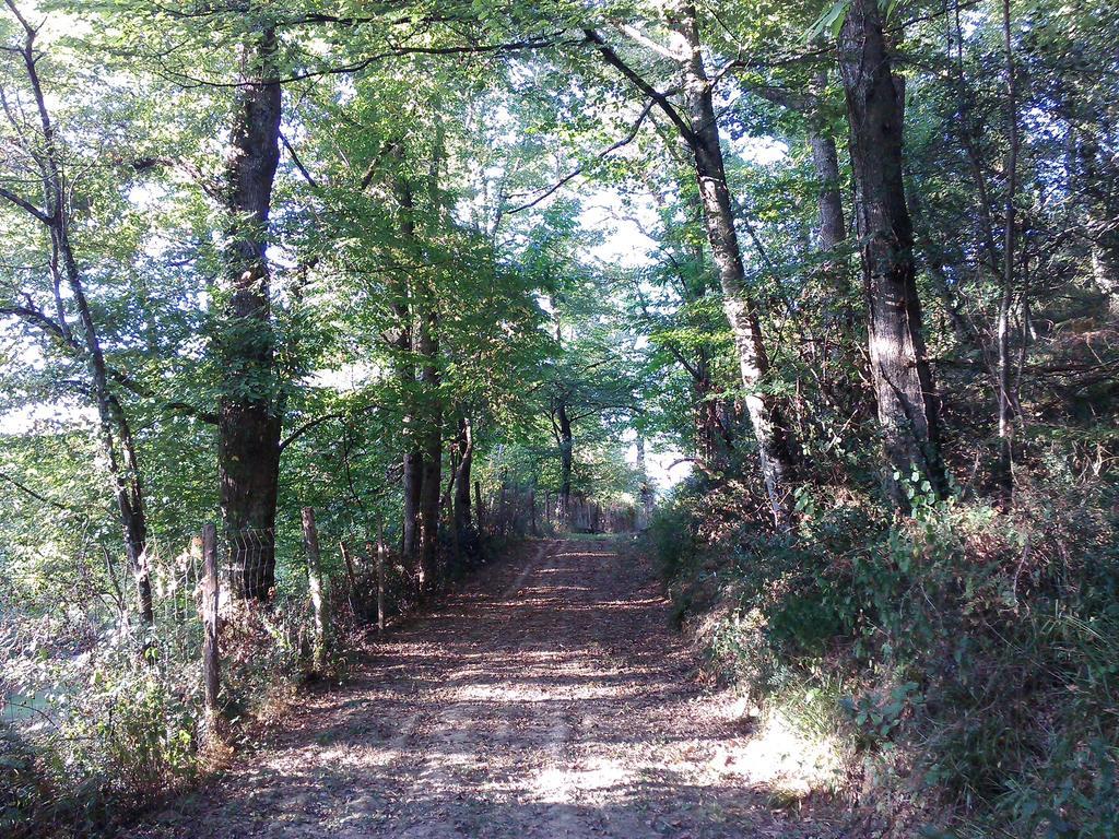 Les Gites De Castera Aire-sur-lʼAdour Eksteriør billede